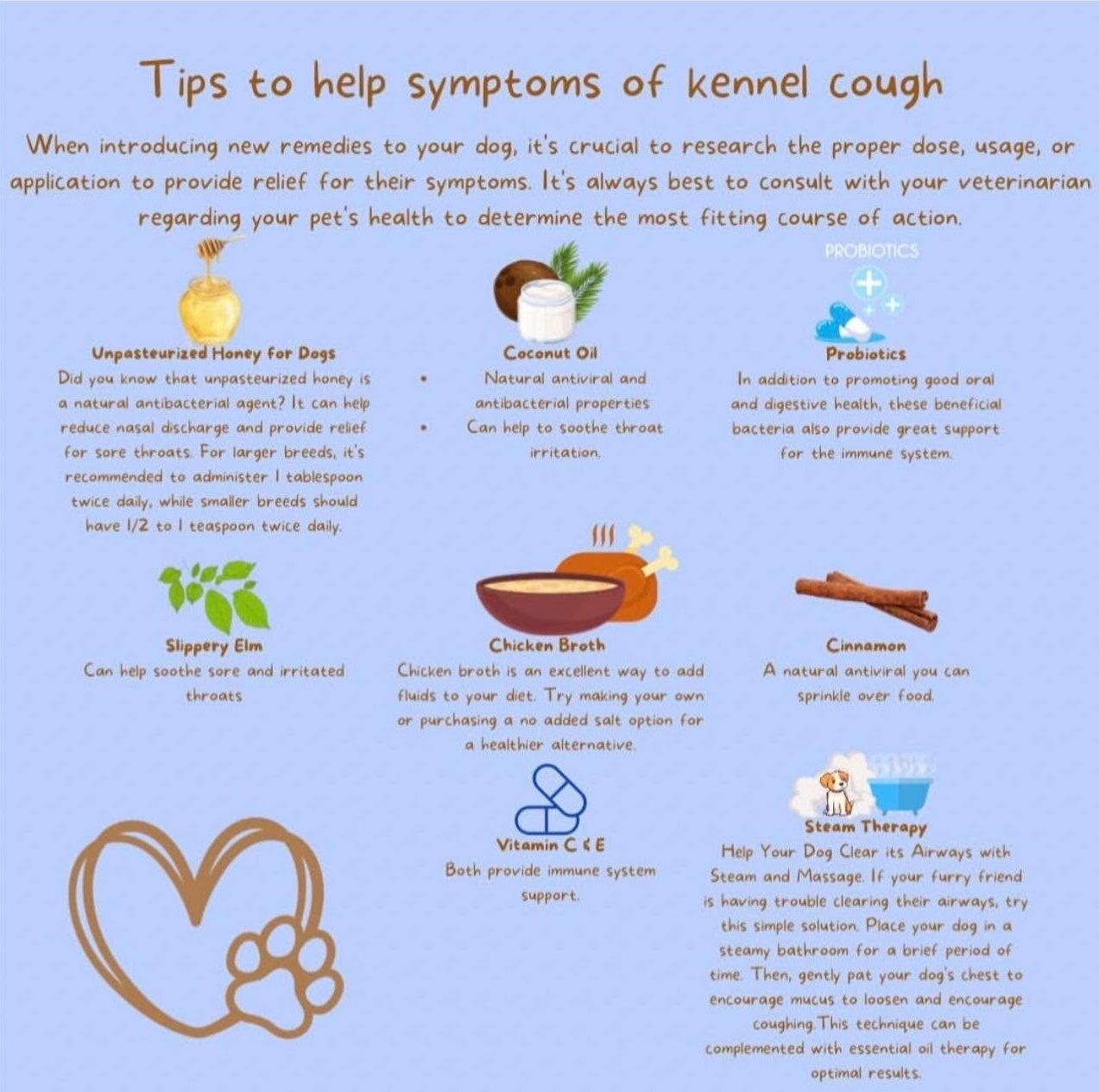 Important Kennel Cough Update for Our Clients